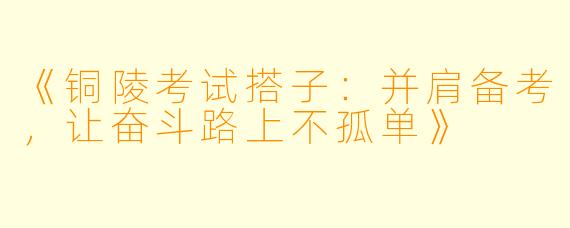 《铜陵考试搭子：并肩备考，让奋斗路上不孤单》