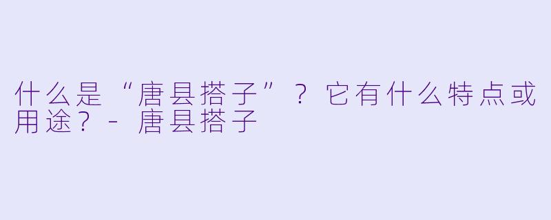 什么是“唐县搭子”?它有什么特点或用途?