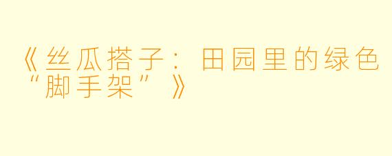 《丝瓜搭子：田园里的绿色“脚手架”》