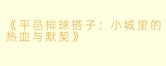 《平邑排球搭子：小城里的热血与默契》