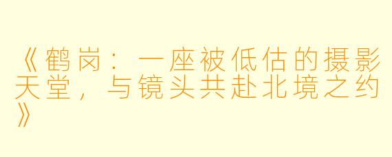 《鹤岗：一座被低估的摄影天堂，与镜头共赴北境之约》