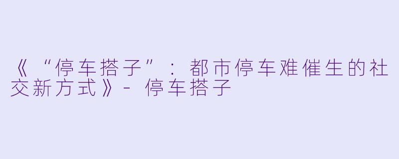 《“停车搭子”：都市停车难催生的社交新方式》-停车搭子