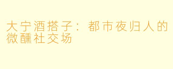 大宁酒搭子：都市夜归人的微醺社交场