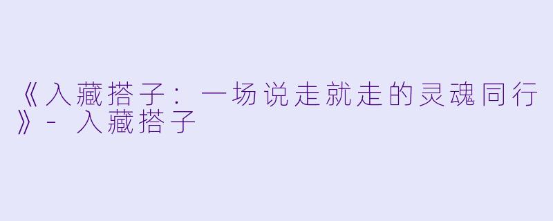 《入藏搭子:一场说走就走的灵魂同行》