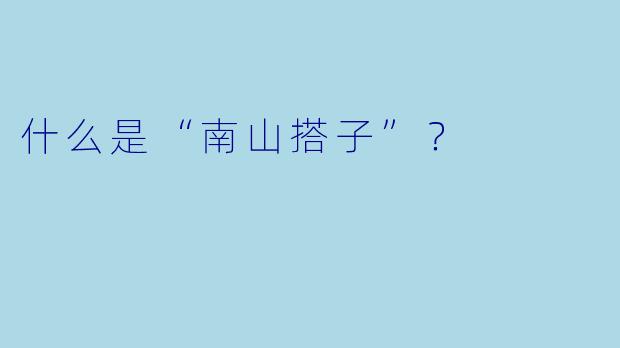 什么是“南山搭子”?