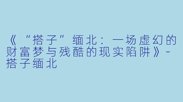 《“搭子”缅北：一场虚幻的财富梦与残酷的现实陷阱》-搭子缅北