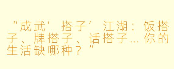 “成武‘搭子’江湖：饭搭子、牌搭子、话搭子…你的生活缺哪种？”