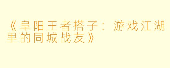 《阜阳王者搭子：游戏江湖里的同城战友》