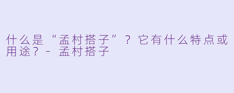 什么是“孟村搭子”？它有什么特点或用途？