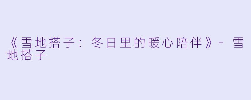 《雪地搭子：冬日里的暖心陪伴》-雪地搭子