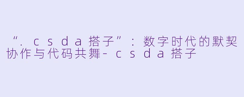 “.csda搭子”：数字时代的默契协作与代码共舞-csda搭子