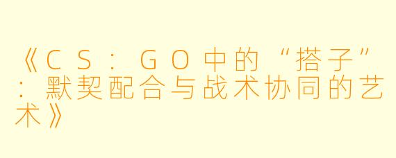 《CS:GO中的“搭子”：默契配合与战术协同的艺术》