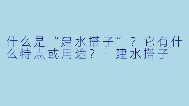 什么是“建水搭子”?它有什么特点或用途?