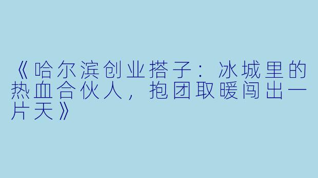 《哈尔滨创业搭子：冰城里的热血合伙人，抱团取暖闯出一片天》