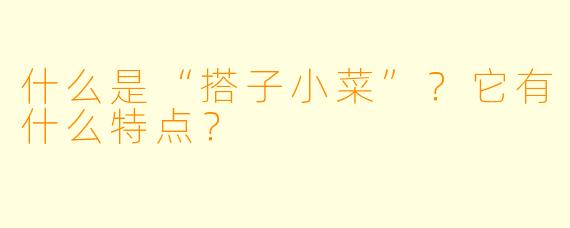 什么是“搭子小菜”?它有什么特点?