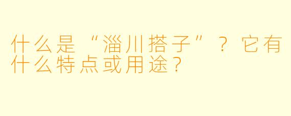 什么是“淄川搭子”？它有什么特点或用途？