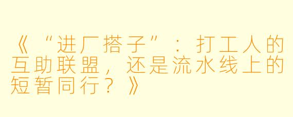 《“进厂搭子”：打工人的互助联盟，还是流水线上的短暂同行？》