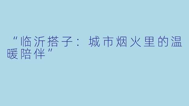 “临沂搭子：城市烟火里的温暖陪伴”