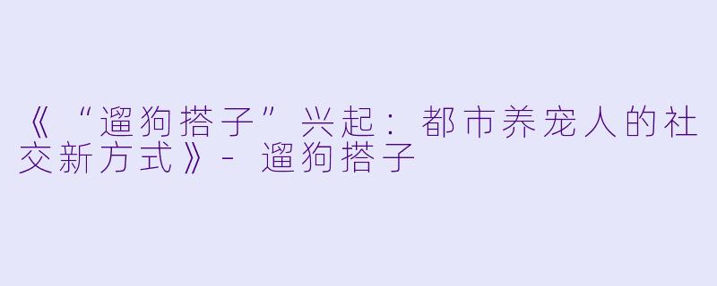 《“遛狗搭子”兴起：都市养宠人的社交新方式》-遛狗搭子