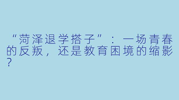 “菏泽退学搭子”：一场青春的反叛，还是教育困境的缩影？