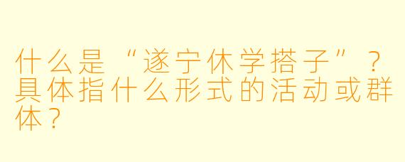 什么是“遂宁休学搭子”?具体指什么形式的活动或群体?