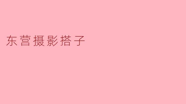 东营摄影搭子