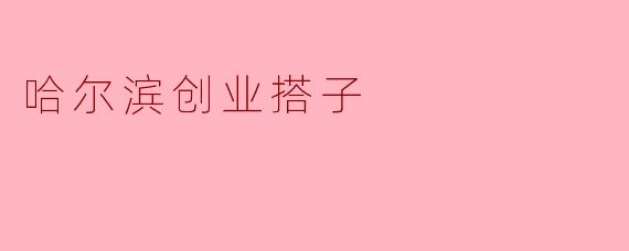 《哈尔滨创业搭子:冰城里的热血合伙人,抱团取暖闯出一片天》