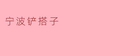 宁波铲搭子