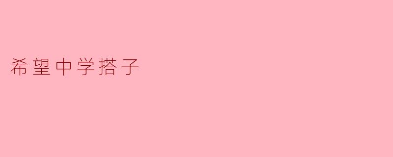 希望中学搭子