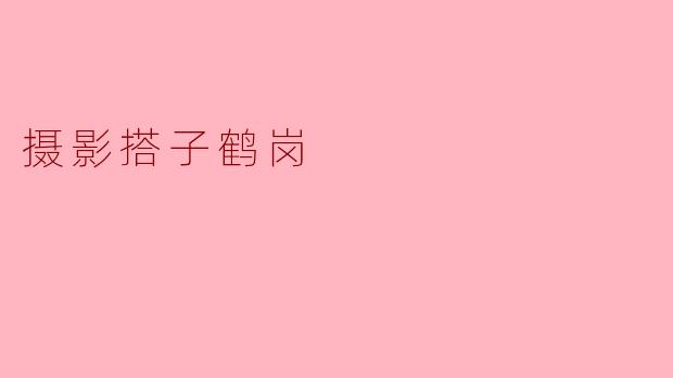 摄影搭子鹤岗