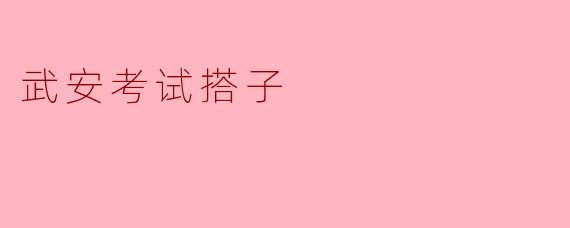 武安考试搭子