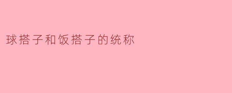 球搭子和饭搭子的统称