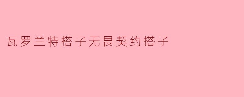瓦罗兰特搭子无畏契约搭子
