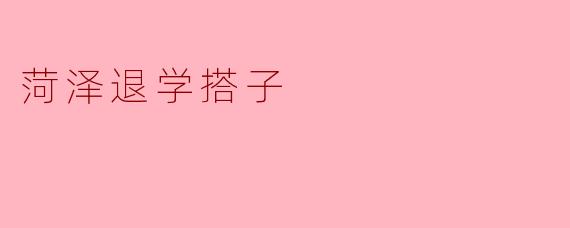 菏泽退学搭子