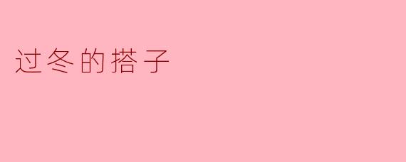 《“过冬搭子”:当代年轻人的抱团取暖哲学》