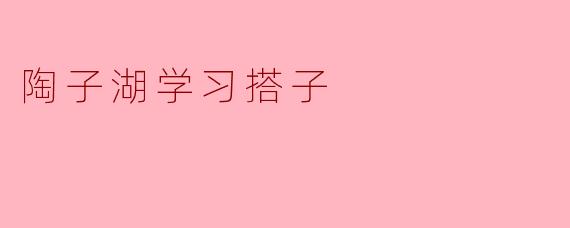 陶子湖学习搭子