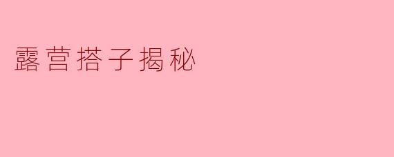 《露营搭子揭秘:你以为的“野外生存”,其实是“精致摆拍”?》