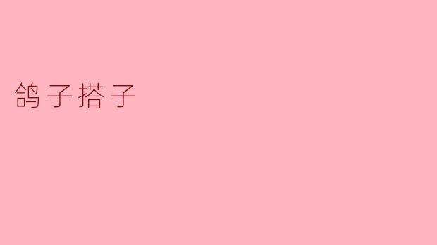 鸽子搭子