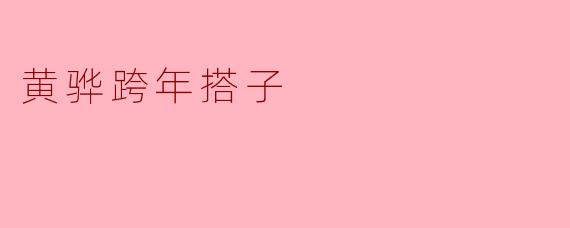 黄骅跨年搭子