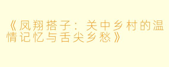 《凤翔搭子：关中乡村的温情记忆与舌尖乡愁》