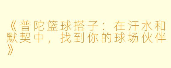 《普陀篮球搭子:在汗水和默契中,找到你的球场伙伴》