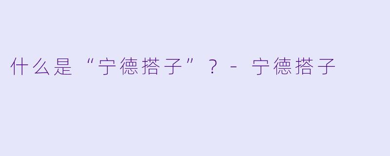 什么是“宁德搭子”?