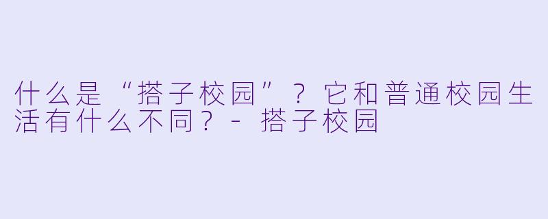 什么是“搭子校园”?它和普通校园生活有什么不同?
