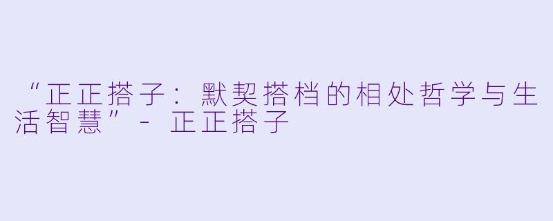 “正正搭子：默契搭档的相处哲学与生活智慧”-正正搭子