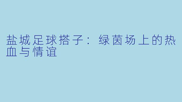 盐城足球搭子:绿茵场上的热血与情谊