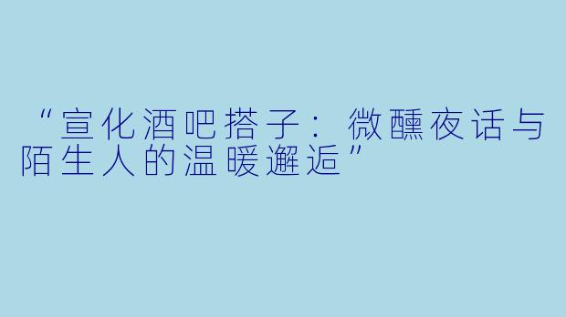 “宣化酒吧搭子：微醺夜话与陌生人的温暖邂逅”