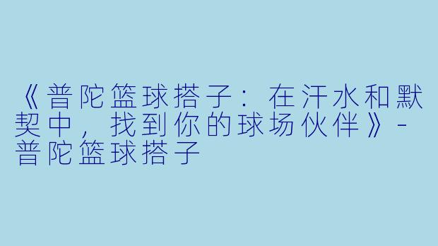 《普陀篮球搭子:在汗水和默契中,找到你的球场伙伴》-普陀篮球搭子