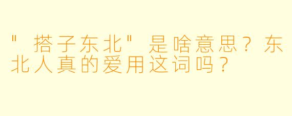 "搭子东北"是啥意思?东北人真的爱用这词吗?