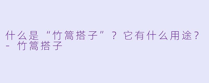 什么是“竹篙搭子”？它有什么用途？-竹篙搭子