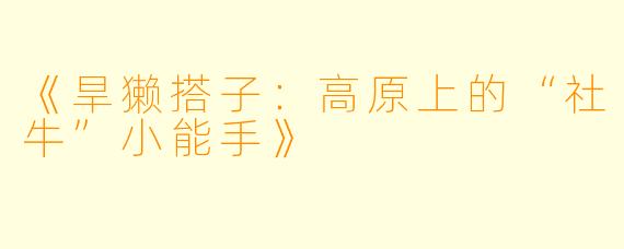 《旱獭搭子：高原上的“社牛”小能手》